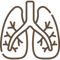 Techniques to calm the nervous system and reconnect with your body.